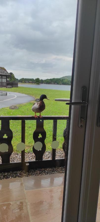 Tegid Lodge- Pine Lake Resort Carnforth Exterior photo